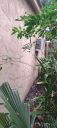 20221014_110838.jpg