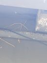 20221014_115430_001.jpg