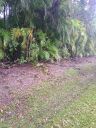 20221031_093835.jpg