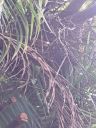 20221031_093919.jpg