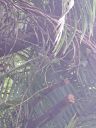 20221031_093922.jpg