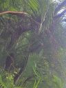 20221031_093925.jpg