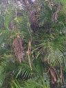 20221031_093940.jpg