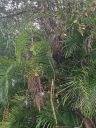 20221031_093942.jpg