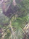 20221031_093953.jpg