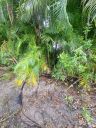 20221031_093957.jpg
