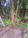 20221102_093334.jpg