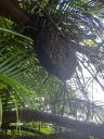 20221102_093402.jpg
