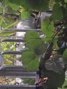 20230207_090631.jpg