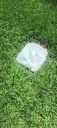 20230518_120629.jpg