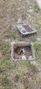 Filename=20250422_163224.jpg
Filesize=2087KiB
Dimensions=1868x4000
Date added=Apr 29, 2025 20250422_163224.jpg
