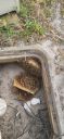 Filename=20250422_163645.jpg
Filesize=1834KiB
Dimensions=1868x4000
Date added=Apr 29, 2025 20250422_163645.jpg