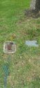 Filename=20250605_130046.jpg
Filesize=1921KiB
Dimensions=1868x4000
Date added=Jun 12, 2025 20250605_130046.jpg