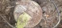 Filename=20250610_134804.jpg
Filesize=1058KiB
Dimensions=4000x1868
Date added=Jun 12, 2025 20250610_134804.jpg