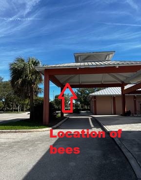 Location_of_bees.jpg