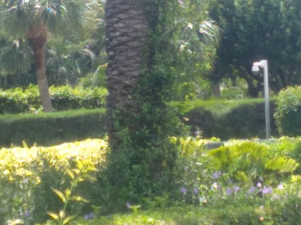 20210924_132102.jpg