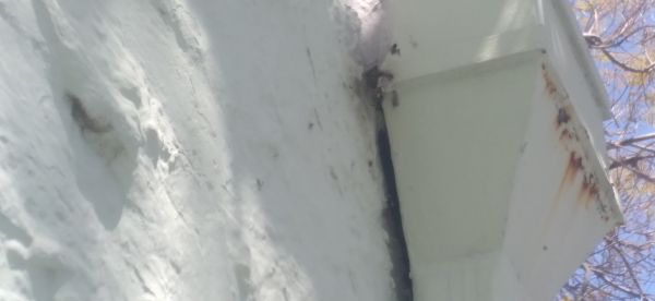 20220418_120130.jpg