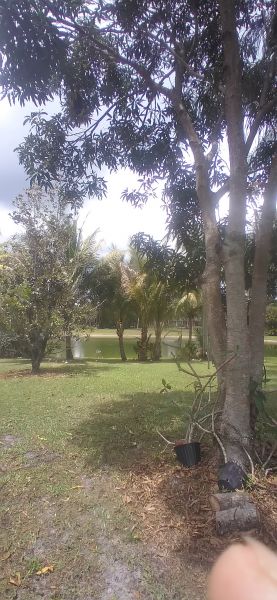 20220418_141853.jpg