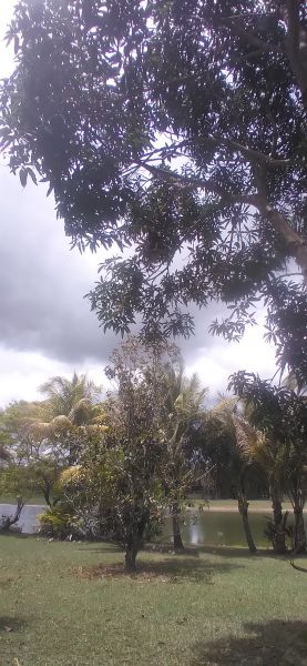 20220418_141902.jpg