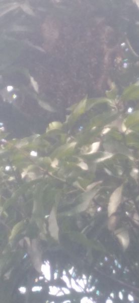 20220418_141950.jpg