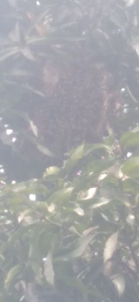 20220418_141952.jpg