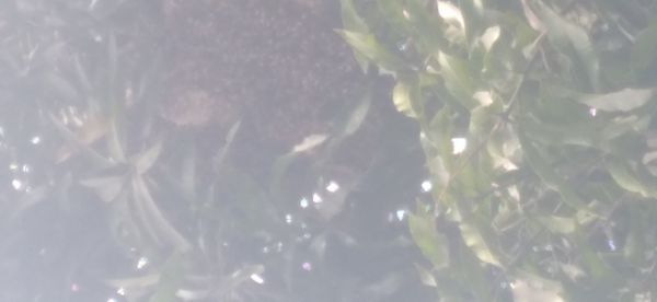 20220418_142020.jpg