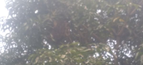 20220418_142022.jpg