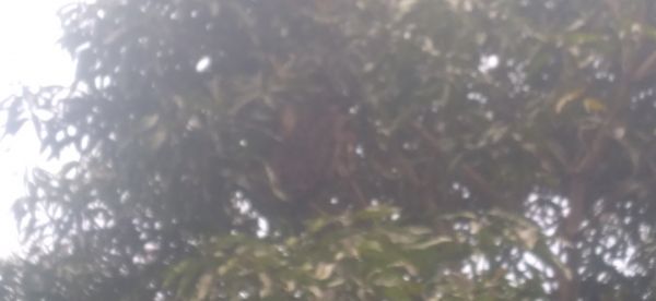 20220418_142048.jpg