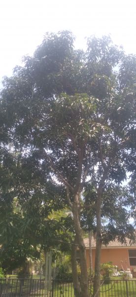 20220418_142110.jpg