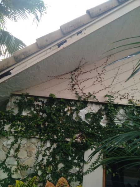 Resized-20220113-092316.jpeg