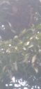 20220418_141950.jpg