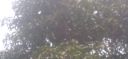 20220418_142048.jpg