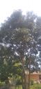 20220418_142110.jpg