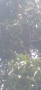 20220418_142148_1.jpg