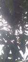 20220418_142433.jpg