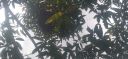 20220418_142450.jpg