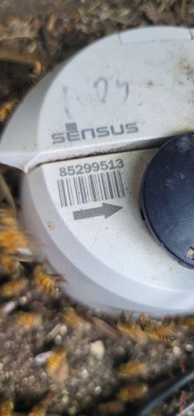 20250716_155754.jpg