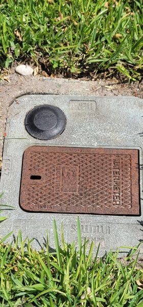 20250722_113521.jpg