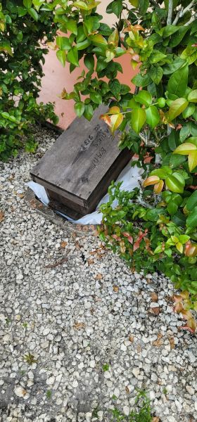20250722_125615.jpg