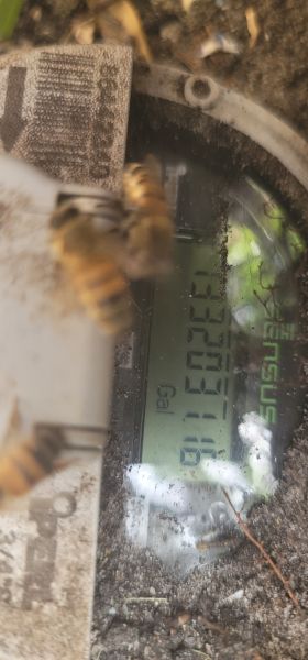 20250806_165325.jpg