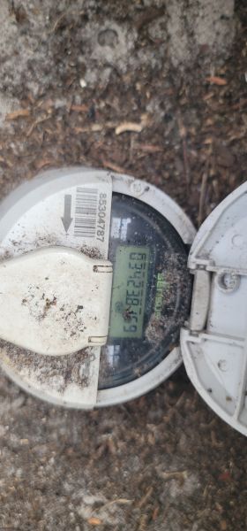 20250806_173723.jpg
