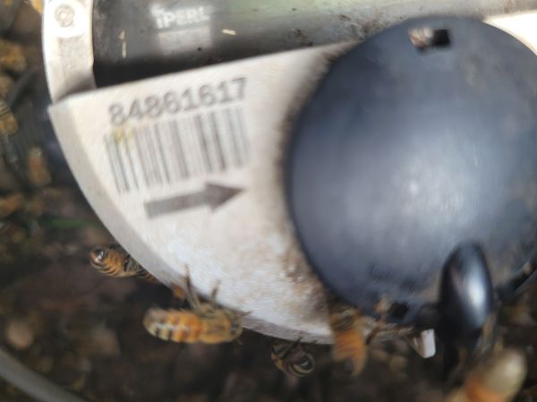 20250818_154255.jpg