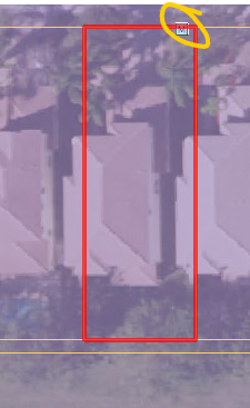 sandy.png