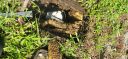 Filename=20250716_104153.jpg
Filesize=4595KiB
Dimensions=4000x1868
Date added=Jul 18, 2025 20250716_104153.jpg