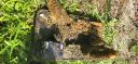 Filename=20250716_104154.jpg
Filesize=4306KiB
Dimensions=4000x1868
Date added=Jul 18, 2025 20250716_104154.jpg